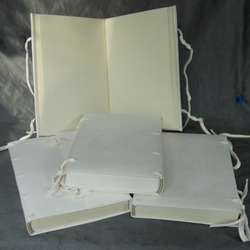 Vellum Bound Note Books